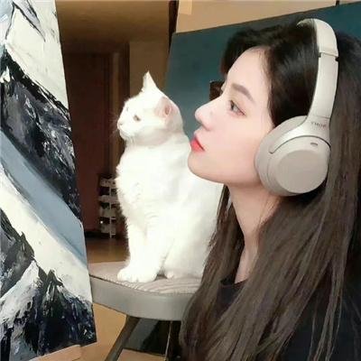 禁止入内的鼹鼠